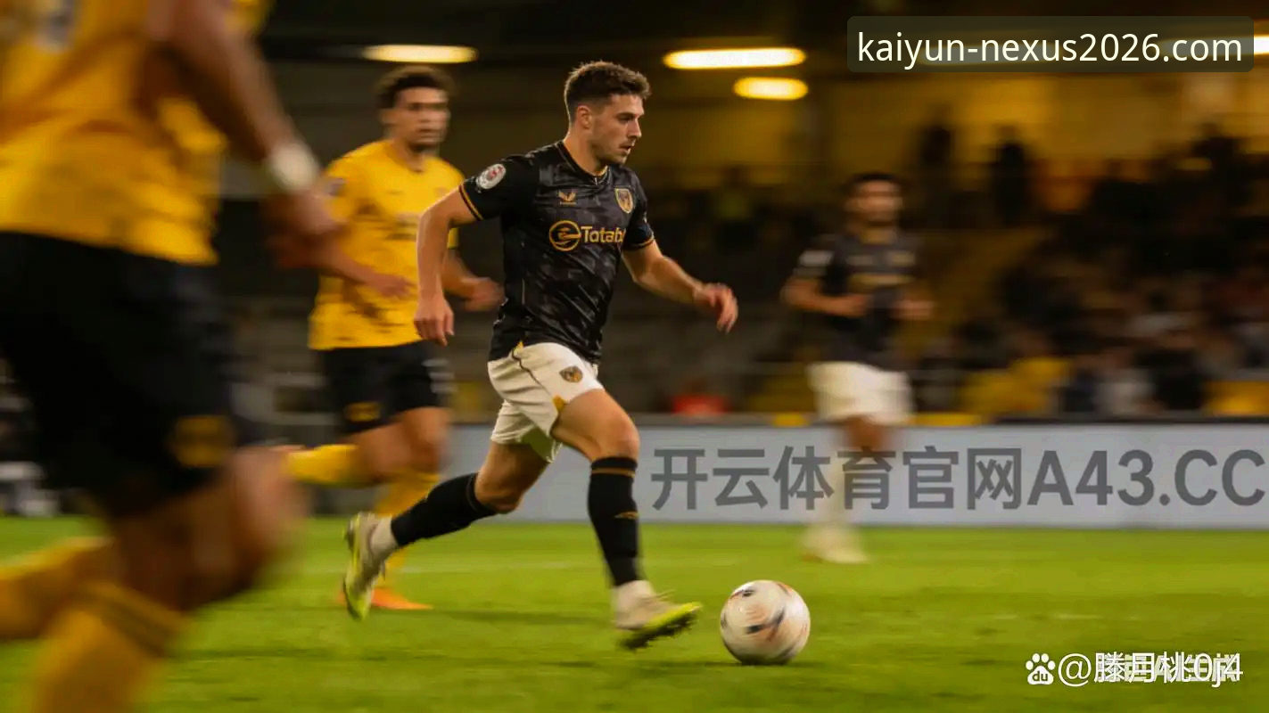 揭秘开云体育平台官网入口：安全性与2026新版体验深度解析